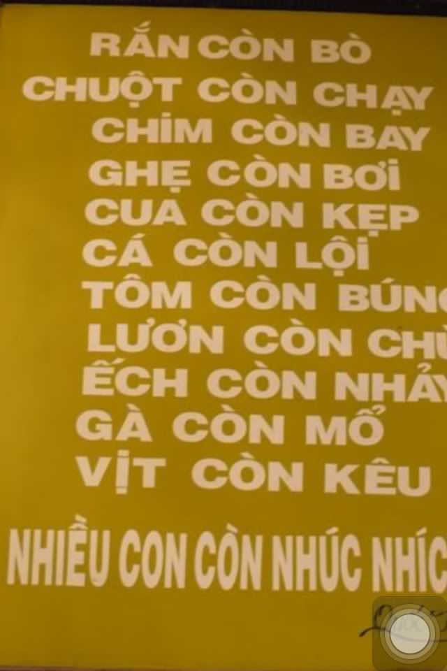 c33740cd.jpg