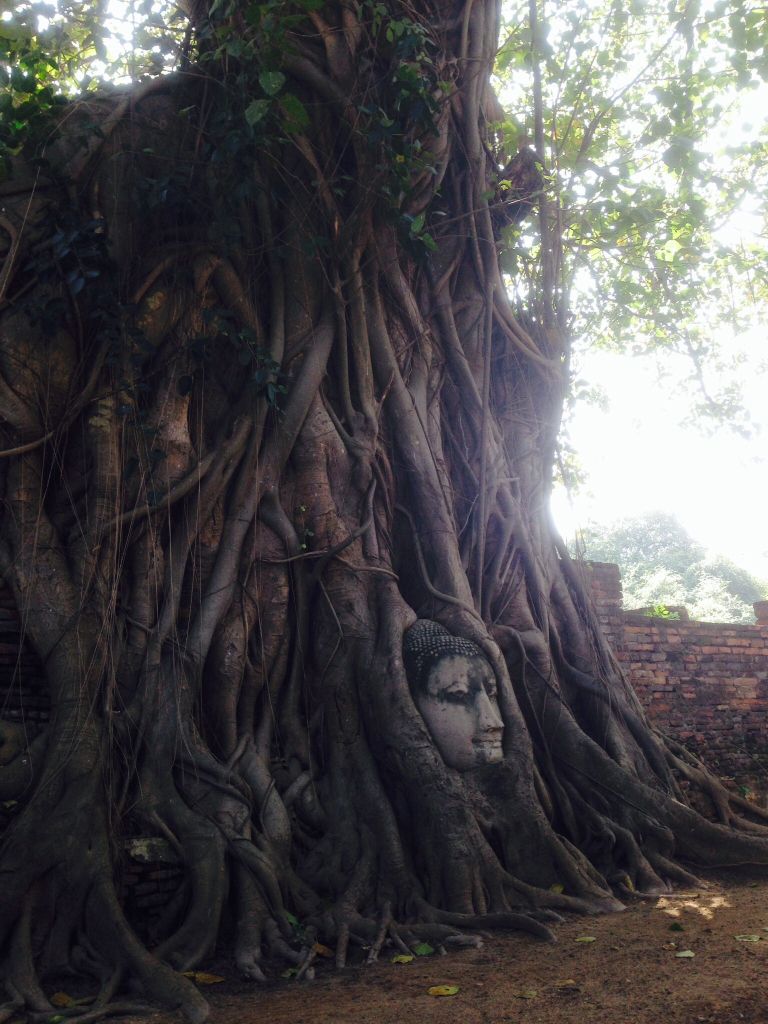 Tour Thái 5N4D ở hotel chuẩn 5* sea front view .mà chỉ có 4 triệu 888 nè,tin nổi ko - 6