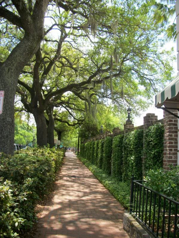 Beautiful Walkway and Ivy Covered Wall Pictures, Images and Photos