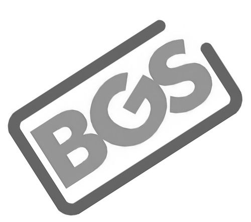 photo bgs-logo rotede_zpstivzzrua.jpg