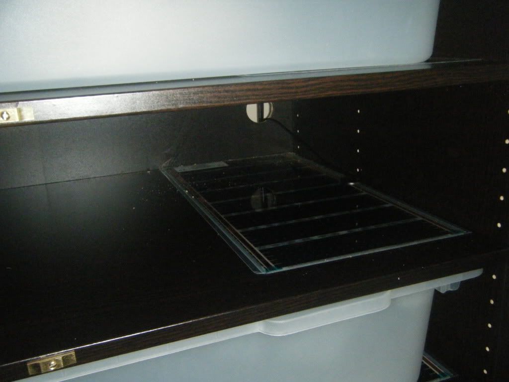 Ikea Pax racks Reptile Forums