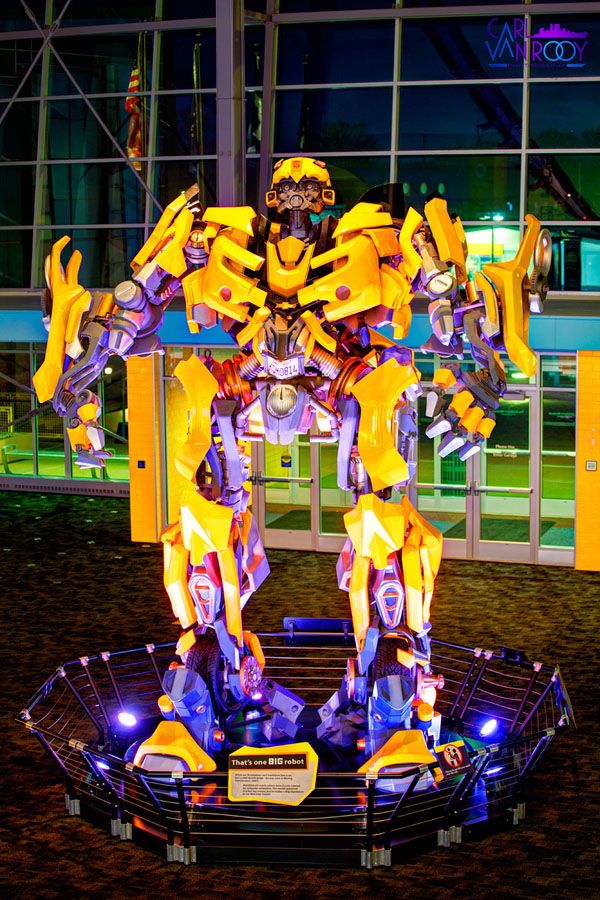 Bumblebee Bumblebee