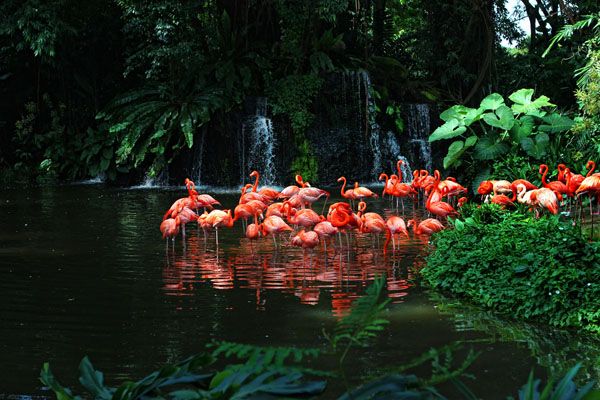 Colors of nature at the zoo Colors of nature at the zoo