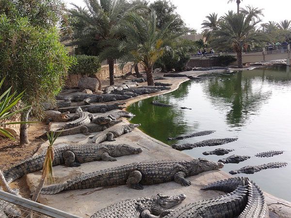 Djerba Explore park Djerba Explore park