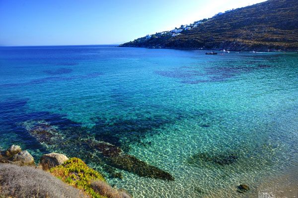 Elia, half nude beach in Mykonos Elia, half nude beach in Mykonos