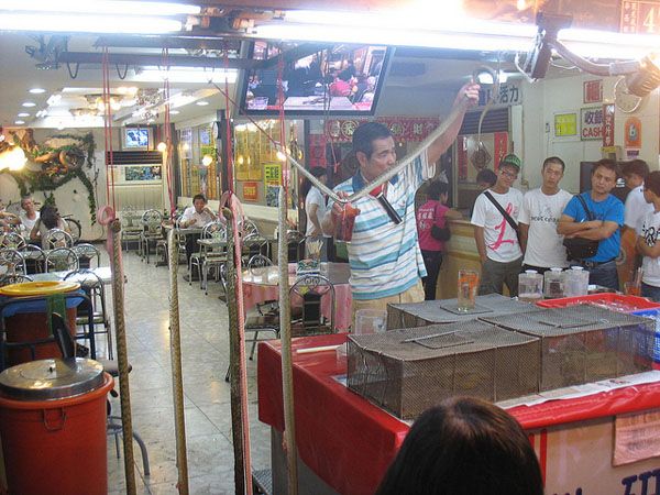 Fresh snake meals at Hwahsi market Fresh snake meals at Hwahsi market