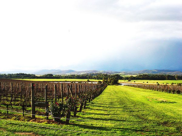 Hunter Valley, Sydney Hunter Valley, Sydney