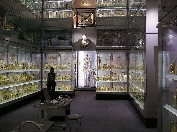 Hunterian Museum, Glasgow Hunterian Museum, Glasgow