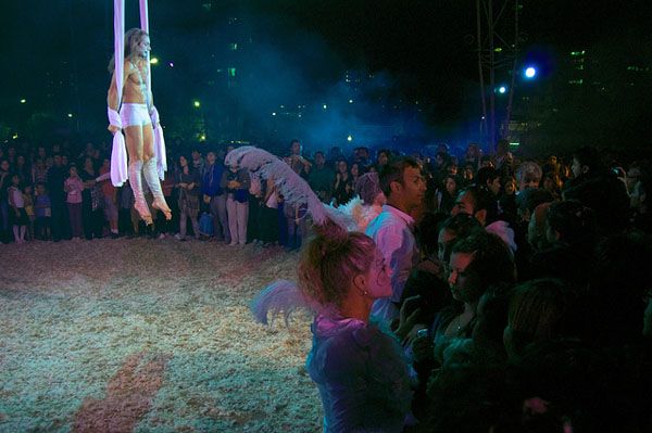 Professional acrobat Professional acrobat