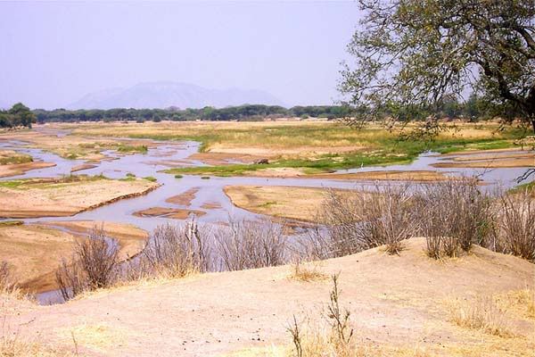 Ruaha national park, Tanzania Ruaha national park, Tanzania