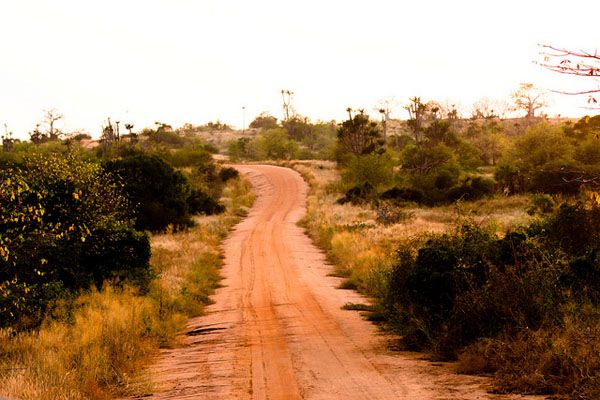 Safari in Kissama National Park Safari in Kissama National Park