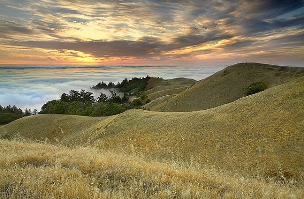 Marin County California Marin County California