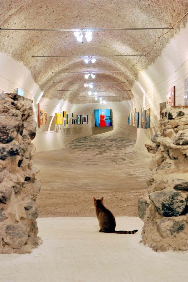 Cat loves art Cat loves art