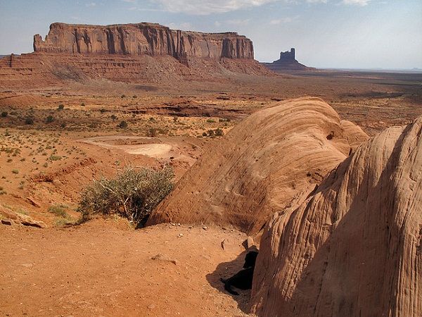 Traveling pets dog monument valley Traveling pets dog monument valley