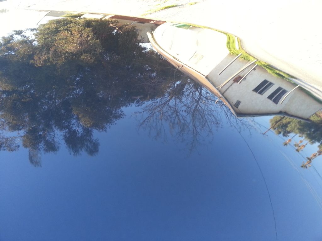 20130222_165538.jpg
