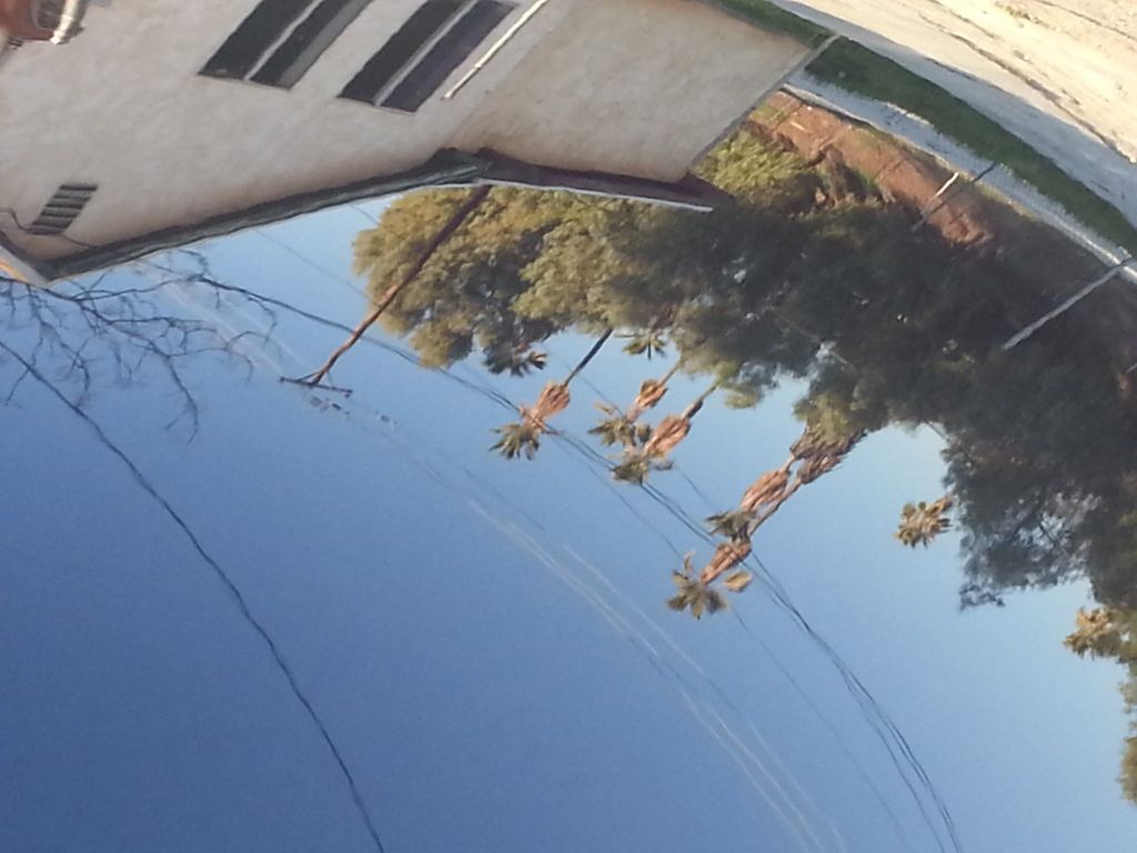 20130222_165607.jpg