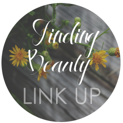Finding Beauty Link Up | This Darling Day