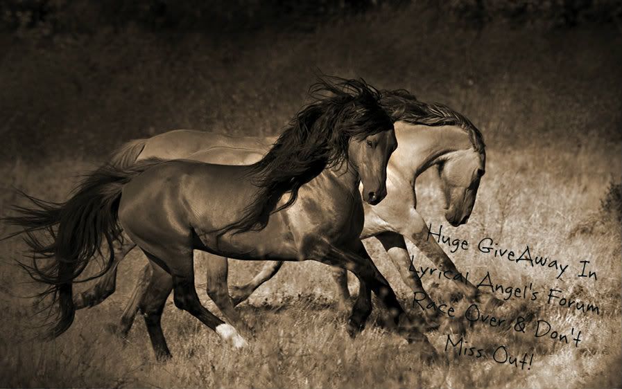 photos_of_wild_horses0002