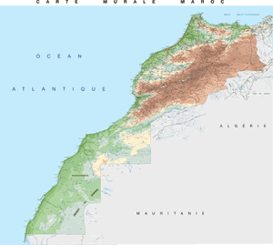 wallmaps_morocco.gif