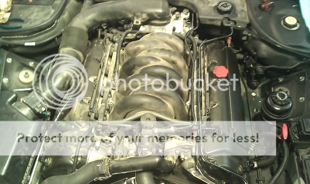 2002 Ford escape engine rebuild #2