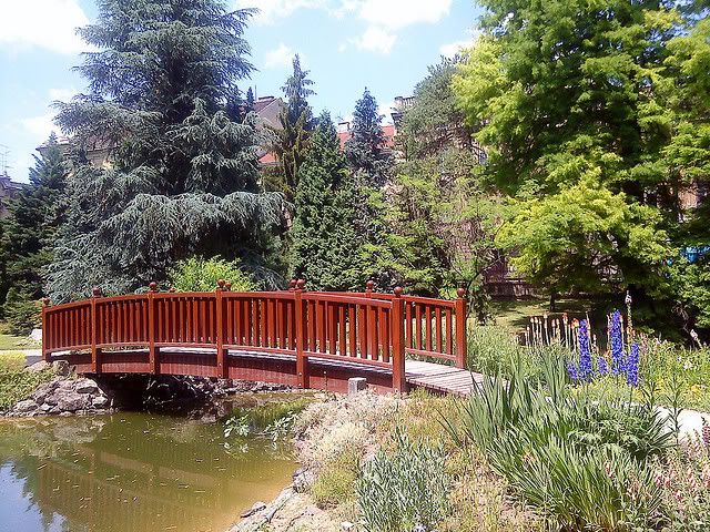 Botanical Gardens Bridge