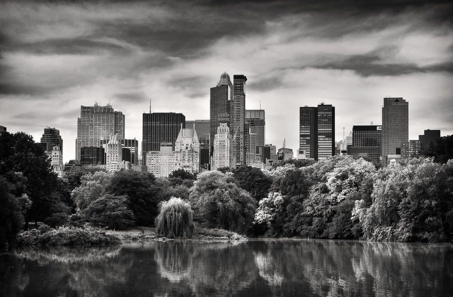 Gray view of Central Park