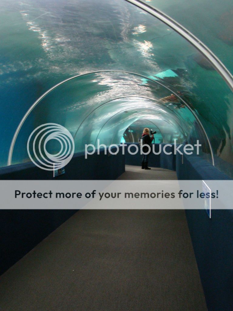 Greater Cleveland Aquarium Tube
