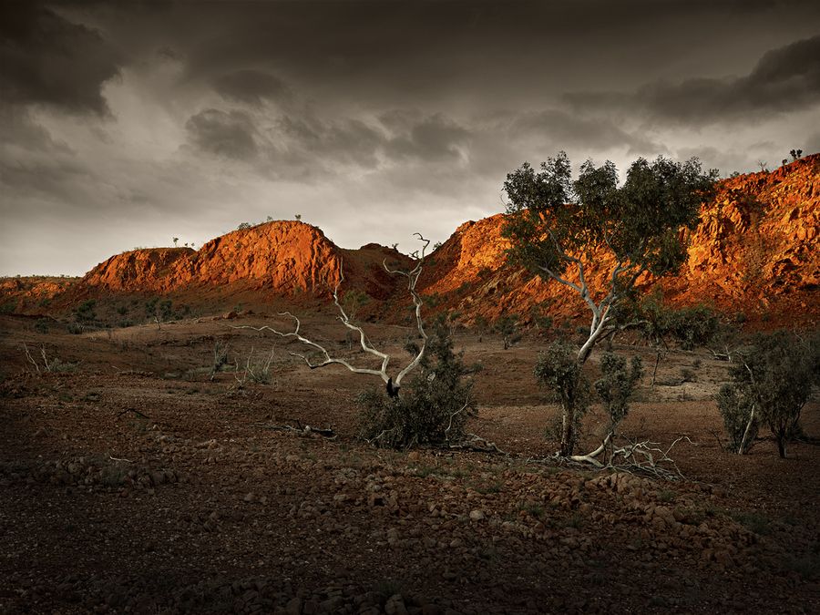 Karlamilyi National Park Pilbara WA