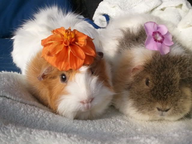 Photo0113.jpg